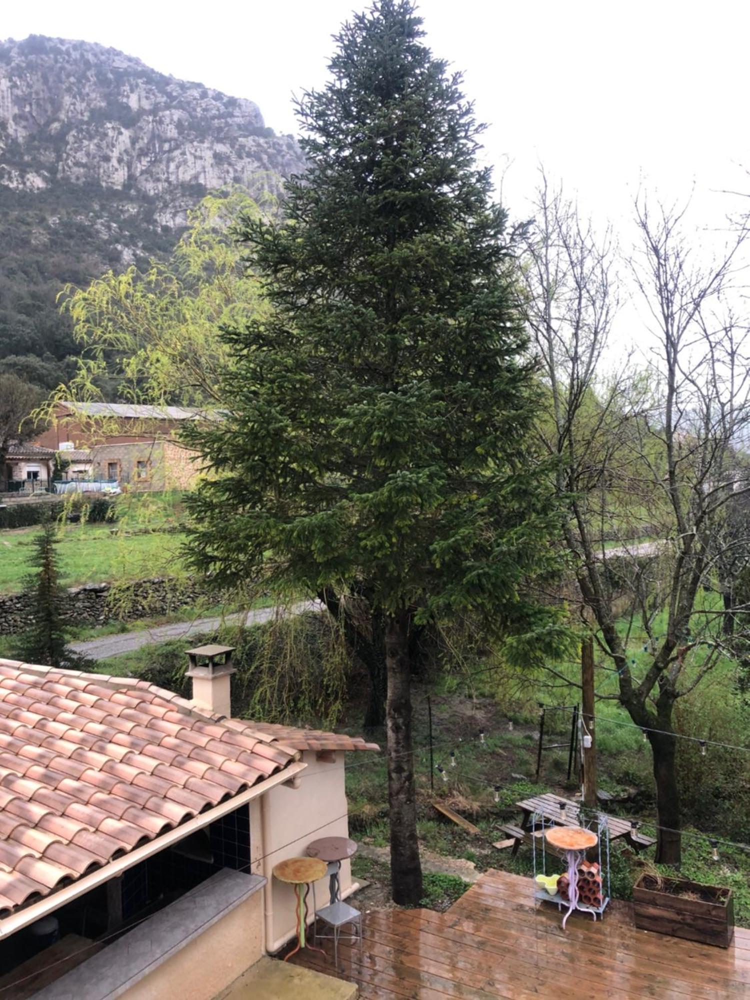 Auberge De La Vallee Saint-Jean-de-Buèges Zewnętrze zdjęcie